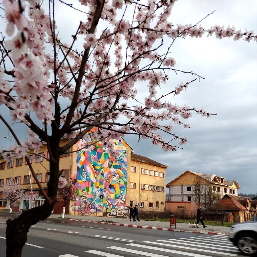 Fely Room Petrosani Exterior photo